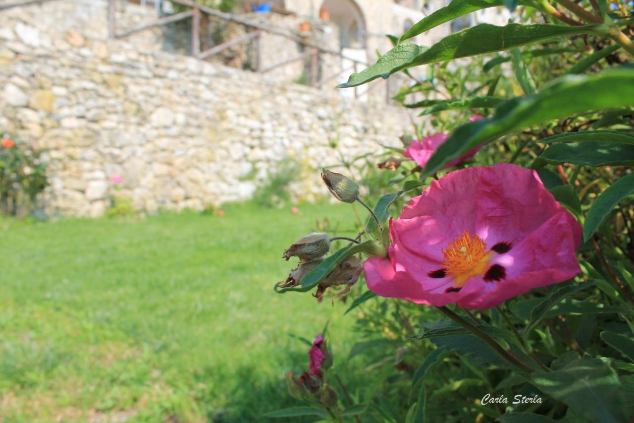 B&B Rubando Le Nuvole Орко-Фельїно Екстер'єр фото
